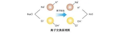 陰離子交換器原理圖